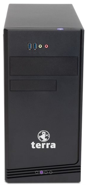 TERRA PC-BUSINESS 5000LE Ryzen 5 8GB 250 SSD W10Pro